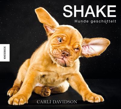 Shake - Hunde