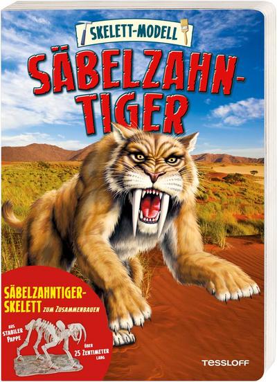 Skelett-Modell Säbelzahntiger