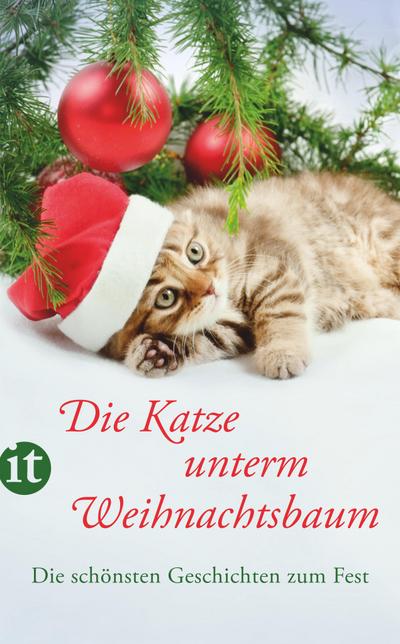 Die Katze unterm Weihnachtsbaum: Die schönsten Geschichten zum Fest (insel taschenbuch)