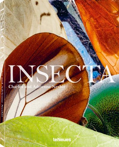 INSECTA