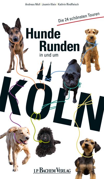 Hunderunden in und um Köln: Die 24 schönsten Touren