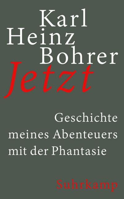 Jetzt: Geschichte meines Abenteuers mit der Phantasie (suhrkamp taschenbuch)