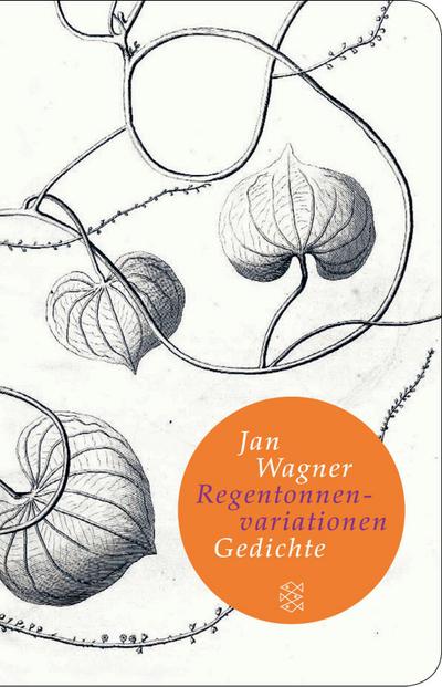 Regentonnenvariationen