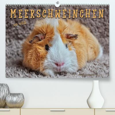 Calvendo Premium Kalender Meerschweinchen - so süß: Eindrucksvolle Bilder der niedlichen Nager. (hochwertiger DIN A2 Wandkalender 2020, Kunstdruck in Hochglanz)