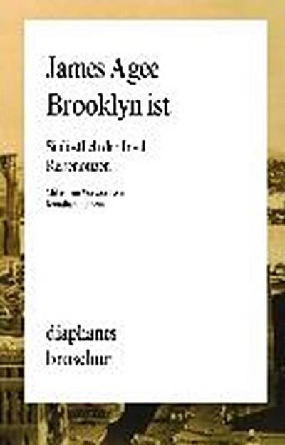 Brooklyn ist: Südöstlich der Insel. Reisenotizen (diaphanes Broschur)