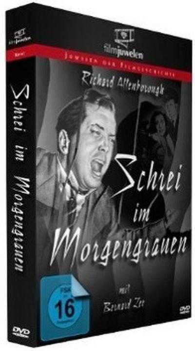 Schrei im Morgengrauen