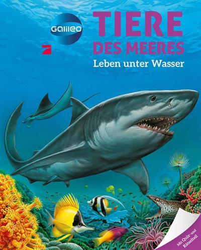 Galileo Wissen: Tiere des Meeres: Leben unter Wasser