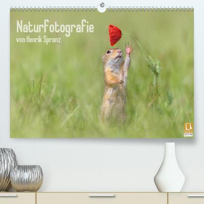 Naturfotografie(Premium, hochwertiger DIN A2 Wandkalender 2020, Kunstdruck in Hochglanz): Das Beste aus der Naturfotografie von Henrik Spranz. (Monatskalender, 14 Seiten ) (CALVENDO Natur)