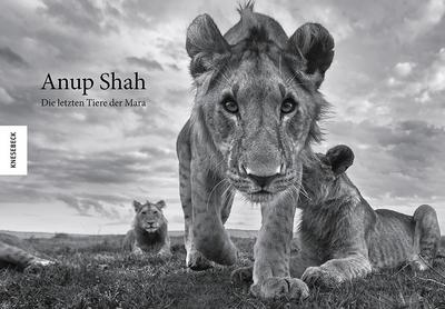 Anup Shah - Tiere