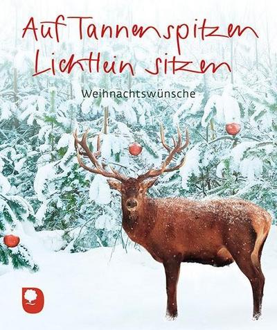 Auf Tannenspitzen Lichtlein sitzen: Weihnachtswünsche (Eschbacher Mini)