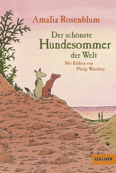 Der schönste Hundesommer der Welt: Roman (Gulliver)