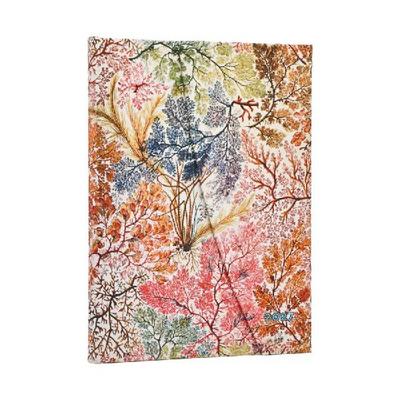 12-Monatskalender 2027 Anemone Midi Horizontal