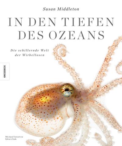 In den Tiefen des Ozeans: Die schillernde Welt der Wirbellosen