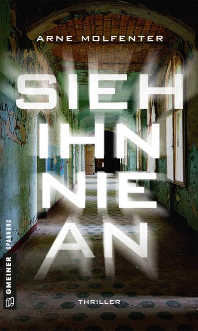 Sieh ihn nie an: Berlin-Thriller (Thriller im GMEINER-Verlag) (Oberkommissarin Westerberg)