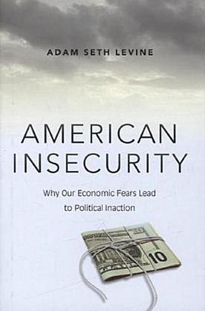 American Insecurity: Why Our Economic Fears Lead to Political Inaction
