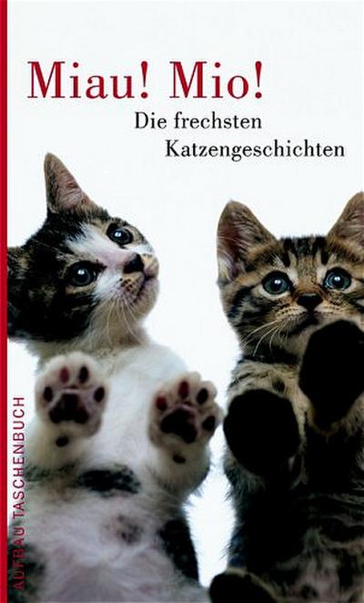 Miau! Mio!: Die frechsten Katzengeschichten