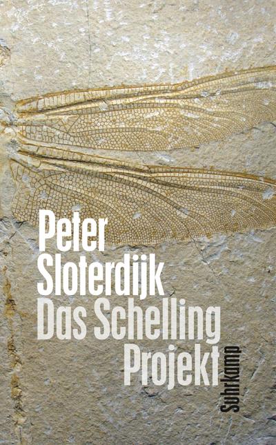 Das Schelling-Projekt: Bericht (suhrkamp taschenbuch)