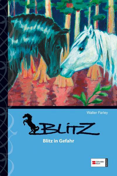 Blitz, Band 11: Blitz in Gefahr