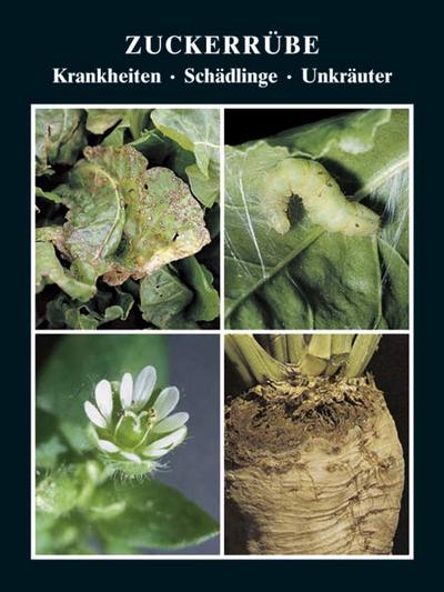 Zuckerrübe Krankheiten - Schädlinge - Unkräuter