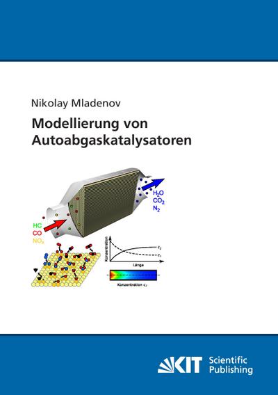 Modellierung von Autoabgaskatalysatoren