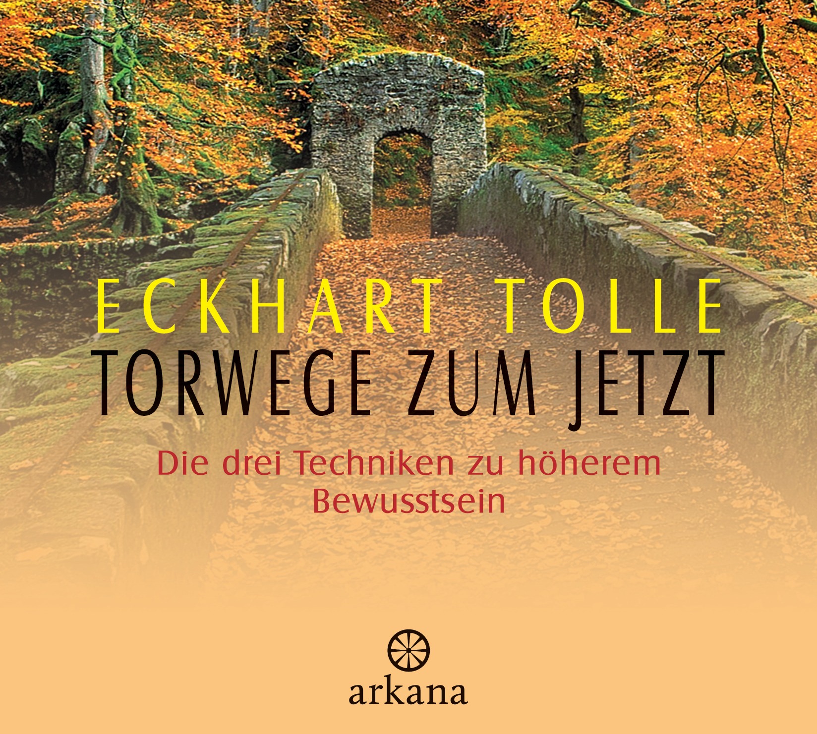 NEU Torwege zum Jetzt Eckhart Tolle 339006 - 第 1/1 張圖片