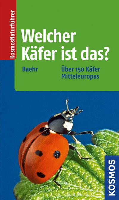 Welcher Käfer ist das?