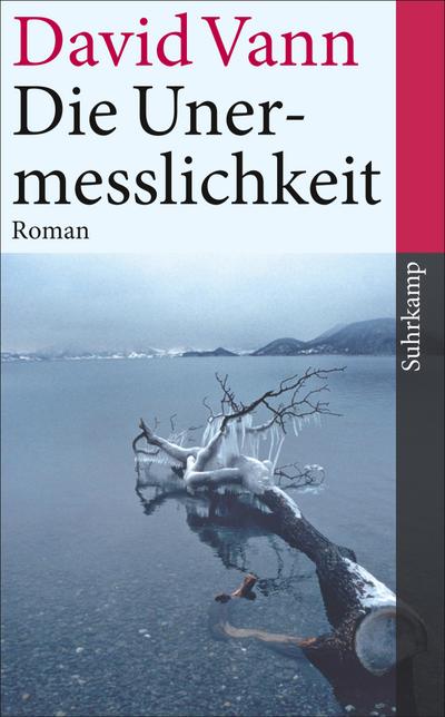 Die Unermesslichkeit: Roman (suhrkamp taschenbuch)