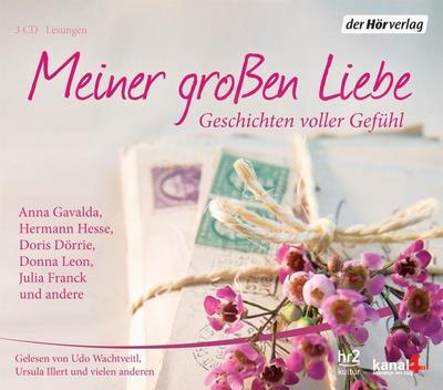 Meiner großen Liebe: Geschichten voller Gefühl