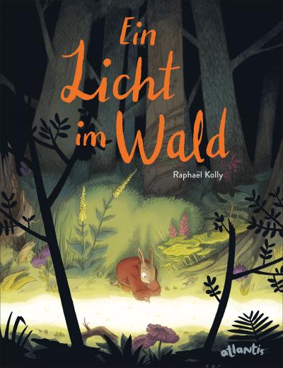 Ein Licht im Wald: Bilderbuch