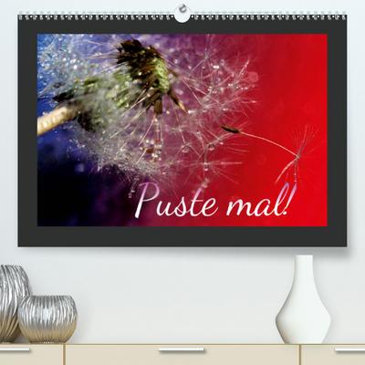 Calvendo Premium Kalender Puste mal!: Edle Pusteblumen (hochwertiger DIN A2 Wandkalender 2020, Kunstdruck in Hochglanz)