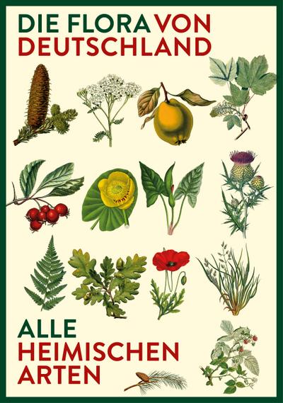 Vorzugsausgabe: Die Flora von Deutschland. Alle heimischen Arten.: Artbeschreibungen, Verbreitungskarten und Abbildungen von mehr als 2500 ... zu den Familien und Gattungen.