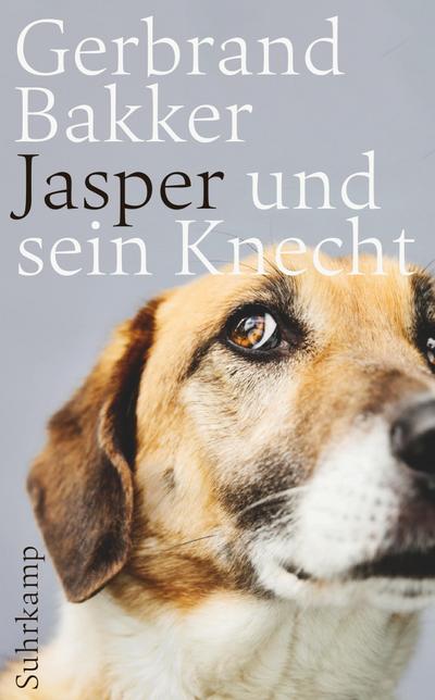 Jasper und sein Knecht (suhrkamp taschenbuch)