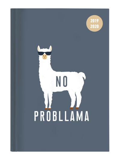 Collegetimer Llama 2019/2020 - Lama - Schülerkalender A5 (15 x 21) - Weekly - 224 Seiten - Terminplaner