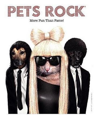 Jessup, J: Pets Rock