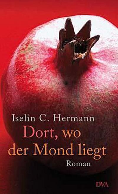 Dort, wo der Mond liegt