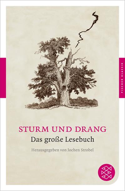 Sturm und Drang: Das große Lesebuch (Fischer Klassik)