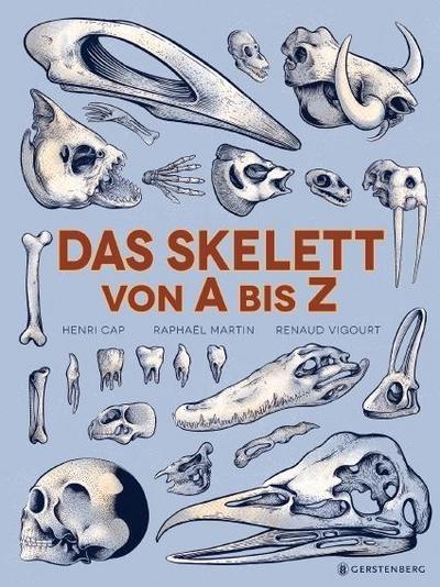 Das Skelett von A bis Z