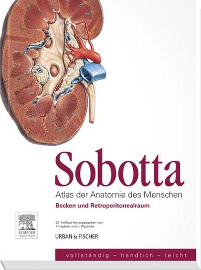 Sobotta, Atlas der Anatomie des Menschen Heft 6: Becken und Retroperitonealraum