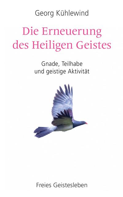 Die Erneuerung des Heiligen Geistes: Gnade, Teilhabe und geistige Aktivität