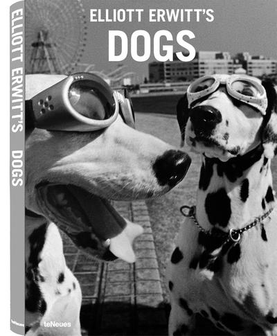 Elliott Erwitt`s Dogs - Die besten Hundebilder des legendären Fotografen (Deutsch, Englisch) 27 x 36 cm, 144 Seiten: Foreword by Peter Mayle. Engl.-Dtsch.-Italien.-Französ.-Span.
