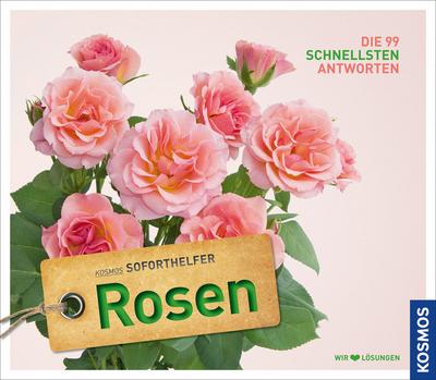 Soforthelfer Rosen: Die 99 schnellsten Antworten