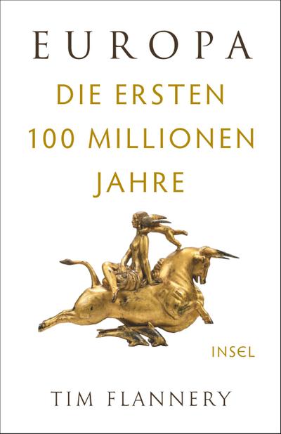 Europa: Die ersten 100 Millionen Jahre