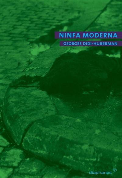 Ninfa moderna: Über den Fall des Faltenwurfs