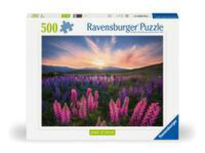 Erwachsenenpuzzle 500 Teile - Lupinen