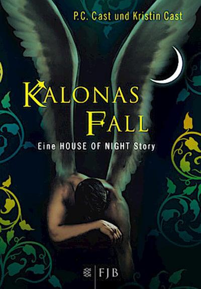Kalonas Fall: Eine House of Night Story