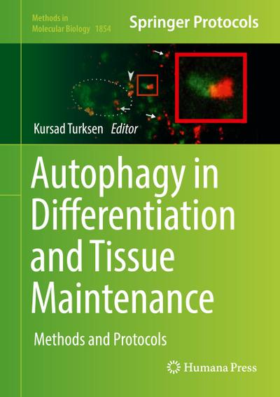 Autophagy in Differentiation and Tissue Maintenance: Methods and Protocols (Methods in Molecular Biology (1854), Band 1854)