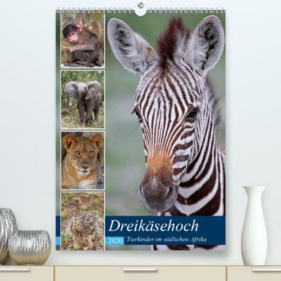 Calvendo Premium Kalender Dreikäsehoch - Tierkinder im südlichen Afrika: Nachwuchs in den Nationalparks (hochwertiger DIN A2 Wandkalender 2020, Kunstdruck in Hochglanz)