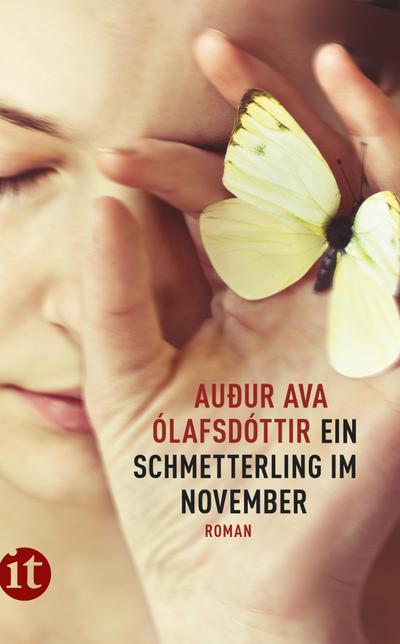 Ein Schmetterling im November: Roman (insel taschenbuch)