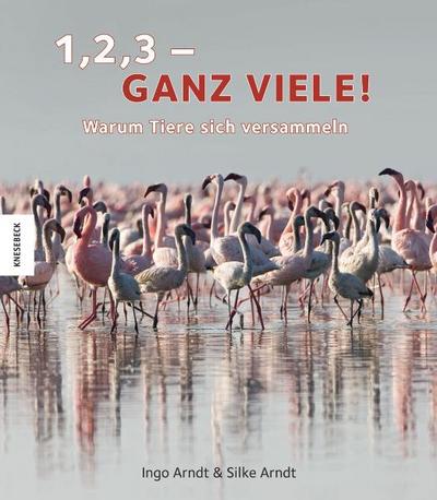 1, 2, 3 - ganz viele!: Warum Tiere sich versammeln. Text-Bildband für Kinder über Tiere in Masse