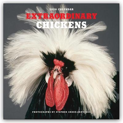 Extraordinary Chickens - Außergewöhnliche Hühner 2026 - Wandkalender - Original Harry N. Abrams Kalender [Mehrsprachig] [Kalender]